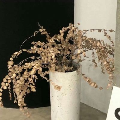 Furry数位板绘画入门技巧福瑞交流群